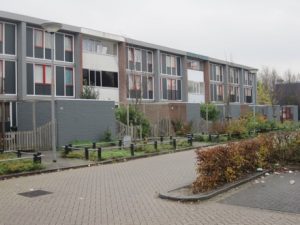 Gespikkeld wonigbezit